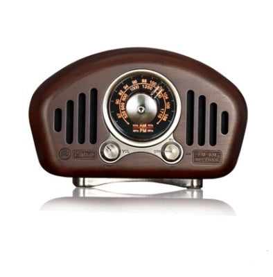 FM/AM Portable Bluetooth Speaker – Wireless Speaker with Built-In FM & AM Radio