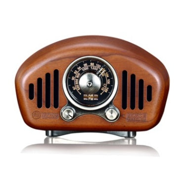 FM/AM Portable Bluetooth Speaker – Wireless Speaker with Built-In FM & AM Radio