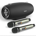 60W Bluetooth Karaoke Speaker System with Wireless Microphones